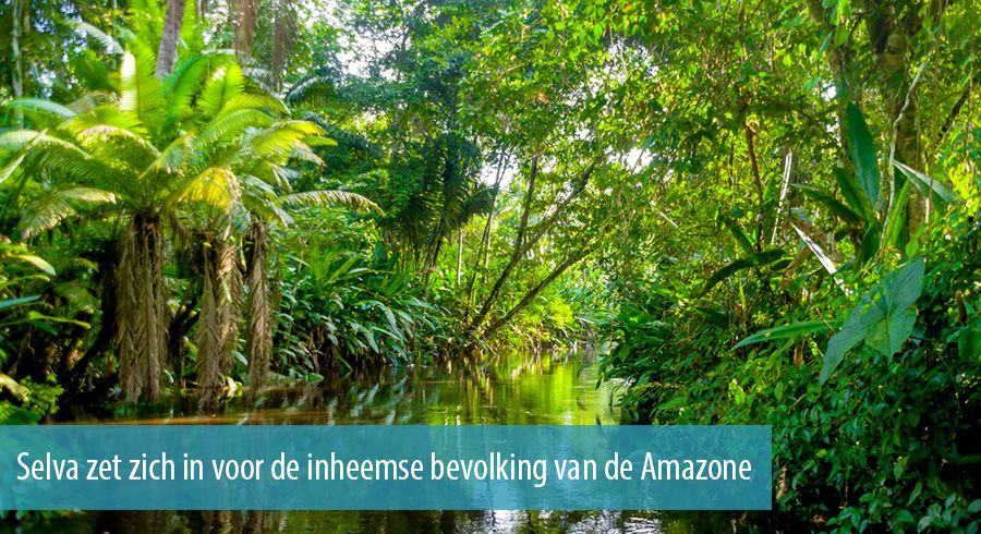 Selva zet zich in voor de inheemse bevolking van de Amazone Selva zet zich in voor de inheemse bevolking van de Amazone