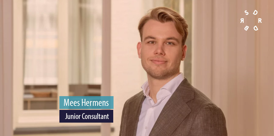 Mees Hermens, Junior Consultant, SeederDeBoer