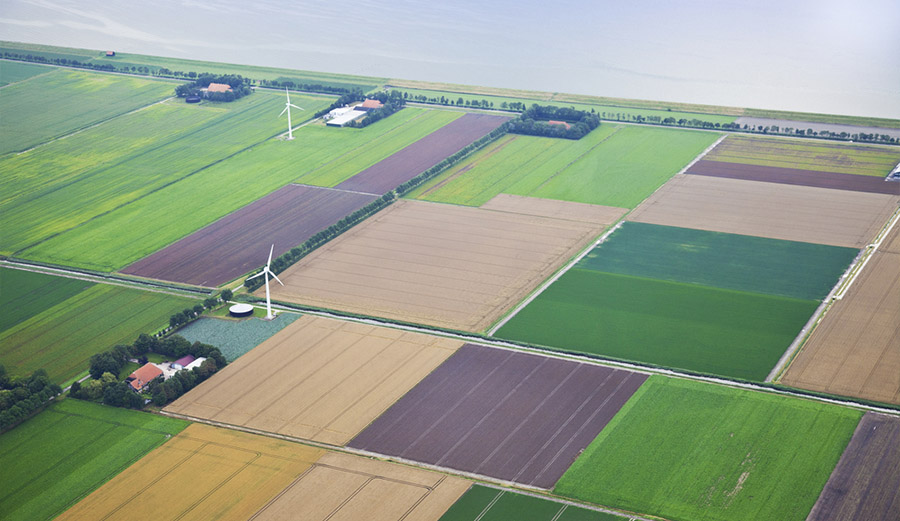 Stikstof: splijtzwam in kabinet of kans voor integratie van beleid?