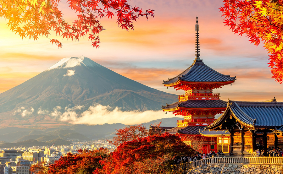 Ngenious organiseert studiereis naar Japan over leiderschap en continu verbeteren