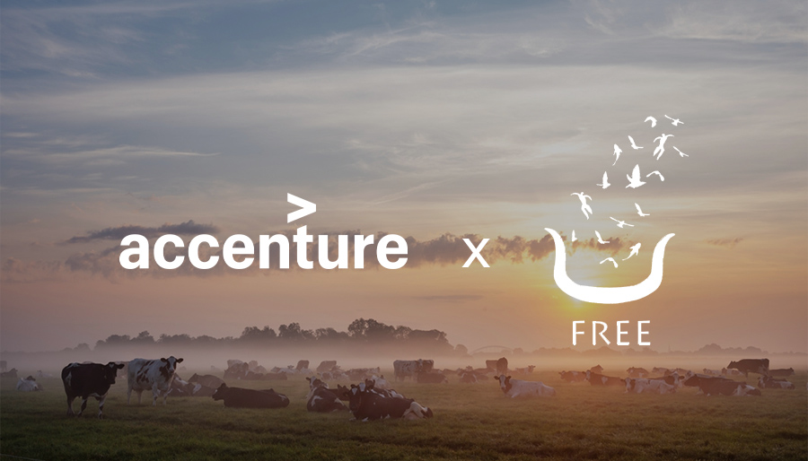 FREE Nature en Accenture verbeteren natuurlijke begrazing met slimme tech