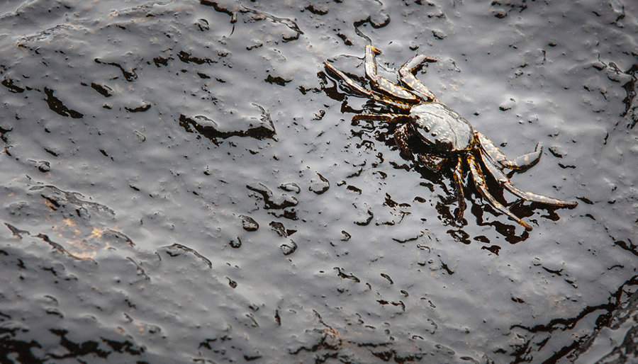 AI helpt olievervuiling in zeeën en binnenwateren sneller detecteren