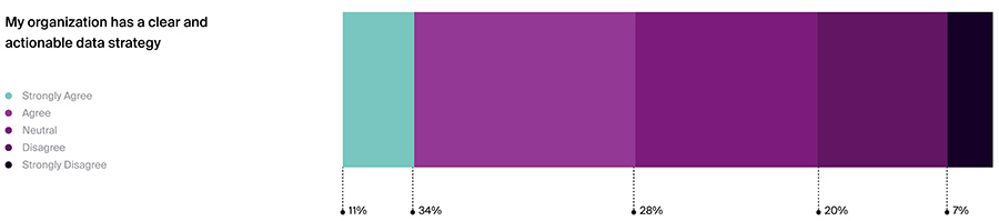 My organization has a clear and actionable data strategy