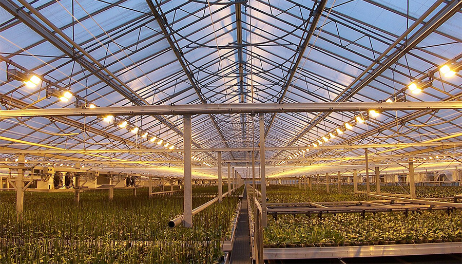 Klimaatplannen vormen mogelijke bedreiging voor glastuinbouwsector