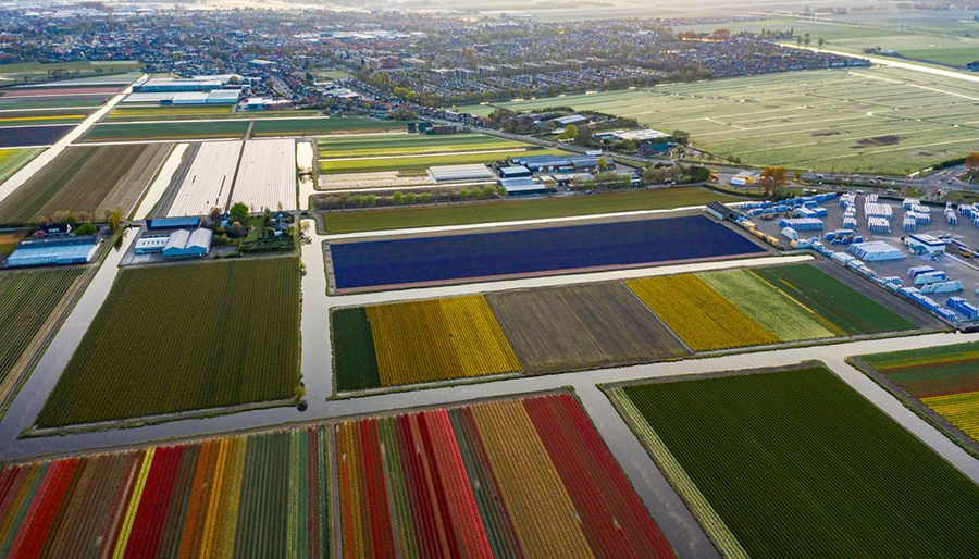 Gemeente Lisse stelt samen met HEVO een integraal accommodatiebeleid op