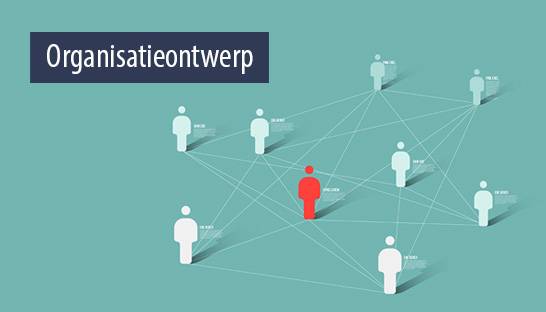 Organisatieontwerp: de visie en aanpak van First Consulting