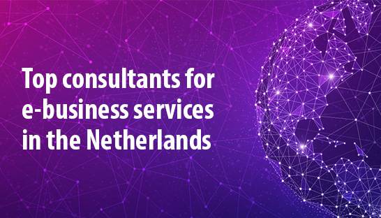 Top consultants for e-business services in the Netherlands