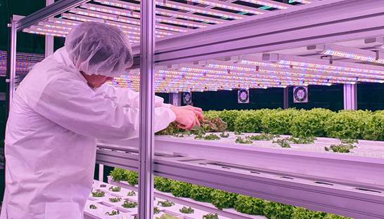 P2 lanceert benchmark duurzaam produceren in de foodsector