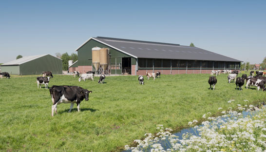 1 op de 10 agrariërs in Zuid-Holland in vizier van criminelen