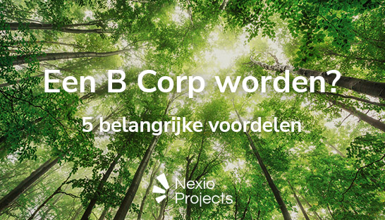 Een B Corp worden: Vijf voordelen uitgelicht