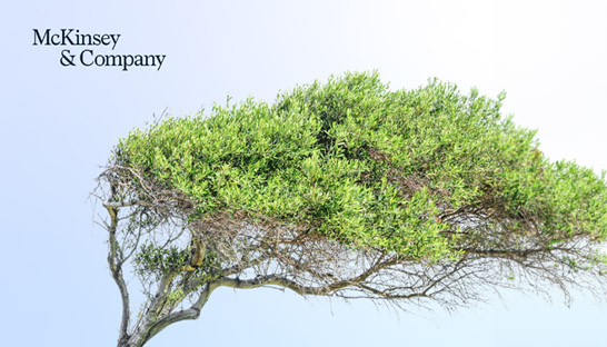 Kapitaal naar private investeerders daalt fors naar $1 biljoen