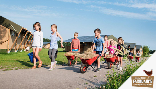 FarmCamps werkt met Draft Digital samen aan online marketing