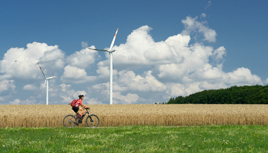 Gemeenten ambitieus op klimaat, maar moeten nog stappen zetten voor effectief beleid