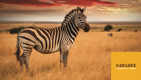 Stepstone Corporate Finance+ begeleidt verkoop van Sawadee Reizen aan Intrepid Travel