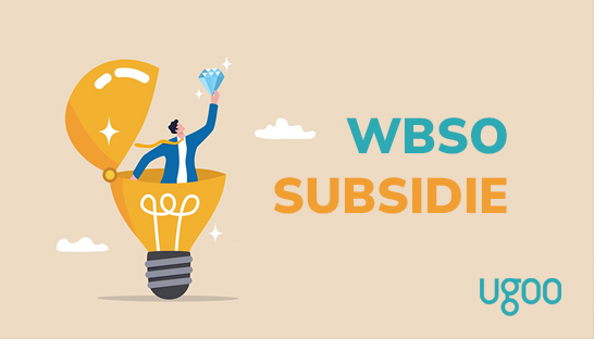 De voordelen van een WBSO-subsidie voor innovatieve bedrijven