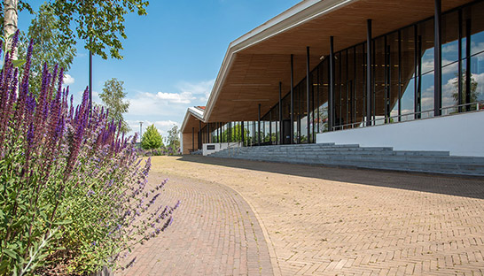 Gemeente Rucphen krijgt met data meer grip op onderwijsachterstanden en mentale weerbaarheid van jongeren