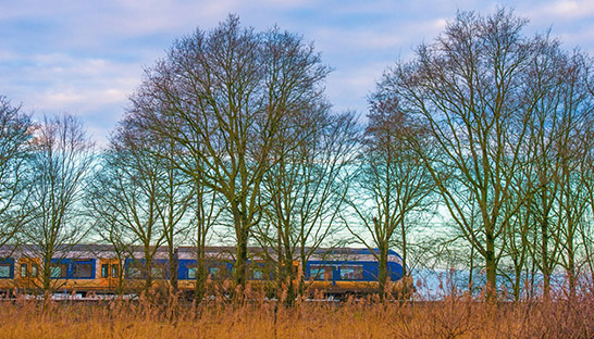 CGI ondersteunt ProRail met monitoring van bomenkap en herplanting