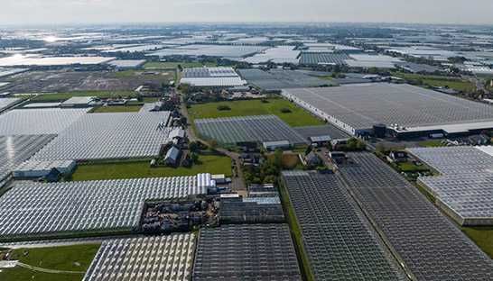 Verduurzaming van glastuinbouwsector loopt achter op schema
