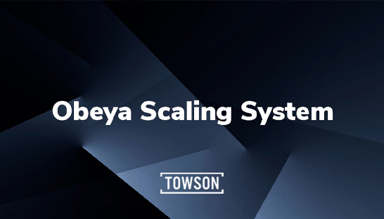 Het Obeya Scaling System: Structuur en sturing voor verandering in complexe organisaties