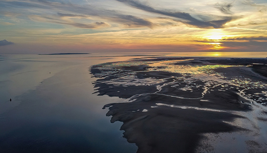 Beheerautoriteit Waddenzee weet doelstellingen niet te realiseren