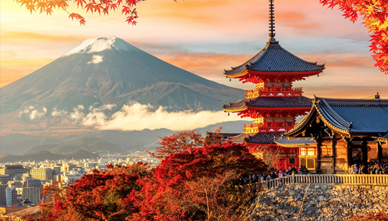 Ngenious organiseert studiereis naar Japan over leiderschap en continu verbeteren