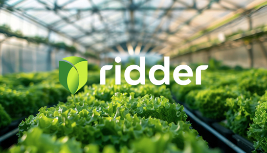 Glastuinbouwbedrijf Ridder kiest voor nieuw merk dat technologie en mensen verbindt
