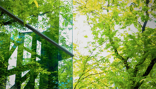 Meer dan een plantenbak: Laura Vaessen van HEYDAY over de businesscase voor biophilic design