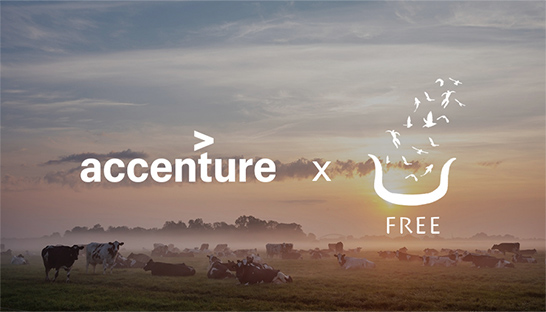 FREE Nature en Accenture verbeteren natuurlijke begrazing met slimme tech