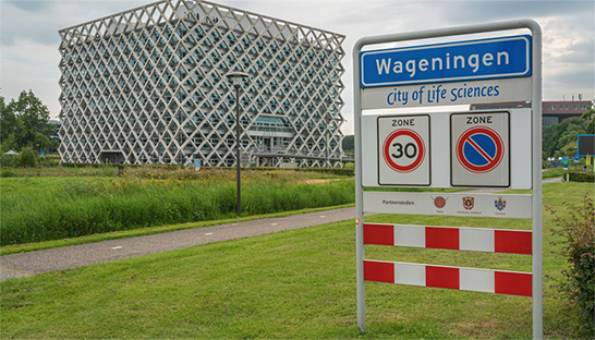 Wageningen laat bestuurskracht doorlichten na signaal uit Renkum