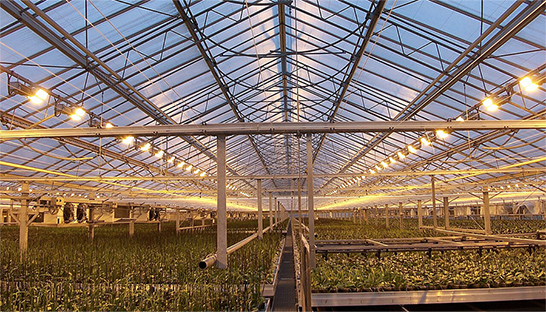 Klimaatplannen vormen mogelijke bedreiging voor glastuinbouwsector