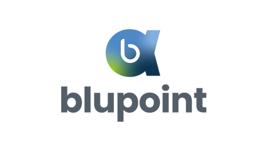 Adviesbureau blupoint